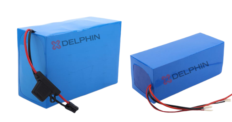LiFePO4 Battery