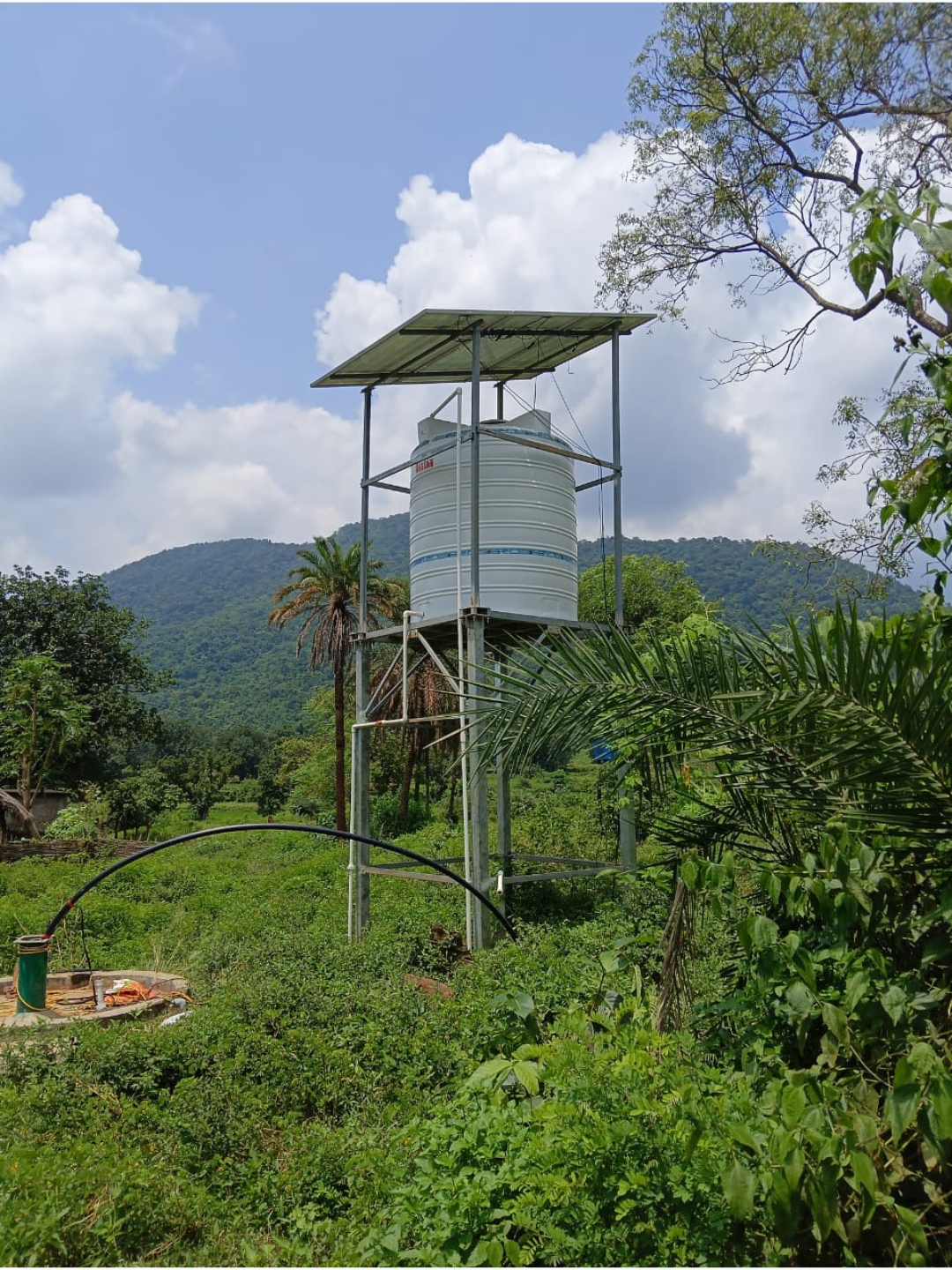 Solar Street Light